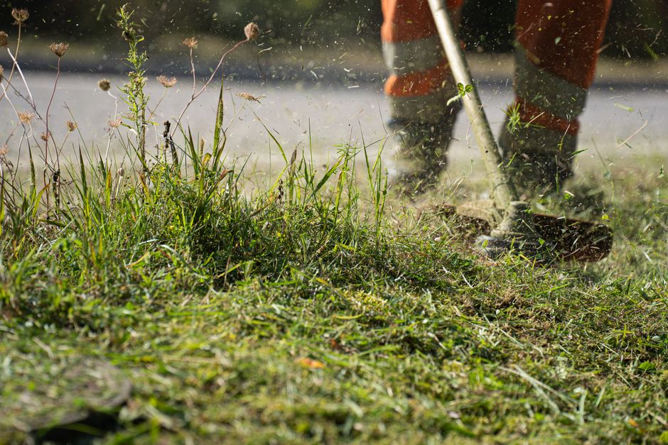 Professional landscaper working on a property