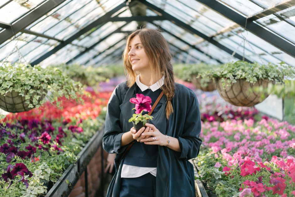 Planting fresh flowers in a garden